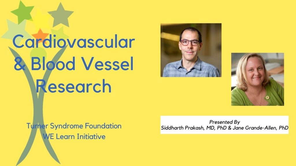 Webinar Cardiovascular Blood Vessels
