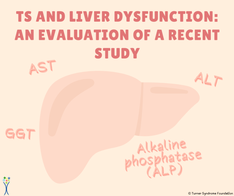 A liver surrounded by enzymes and titles the correlation to TS