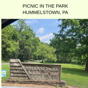 PICNIC, HUMMELSTOWN, PA
